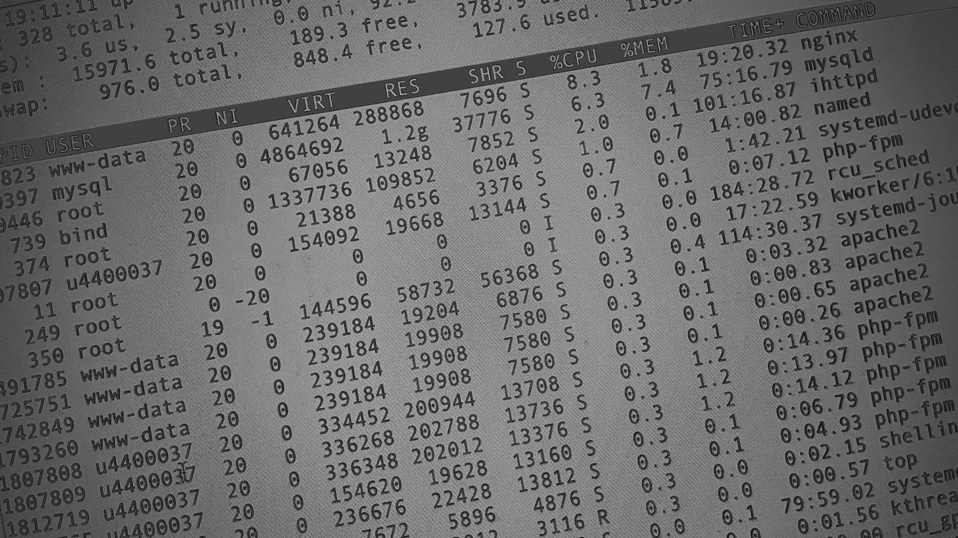 Настройка сервера в Бирюче