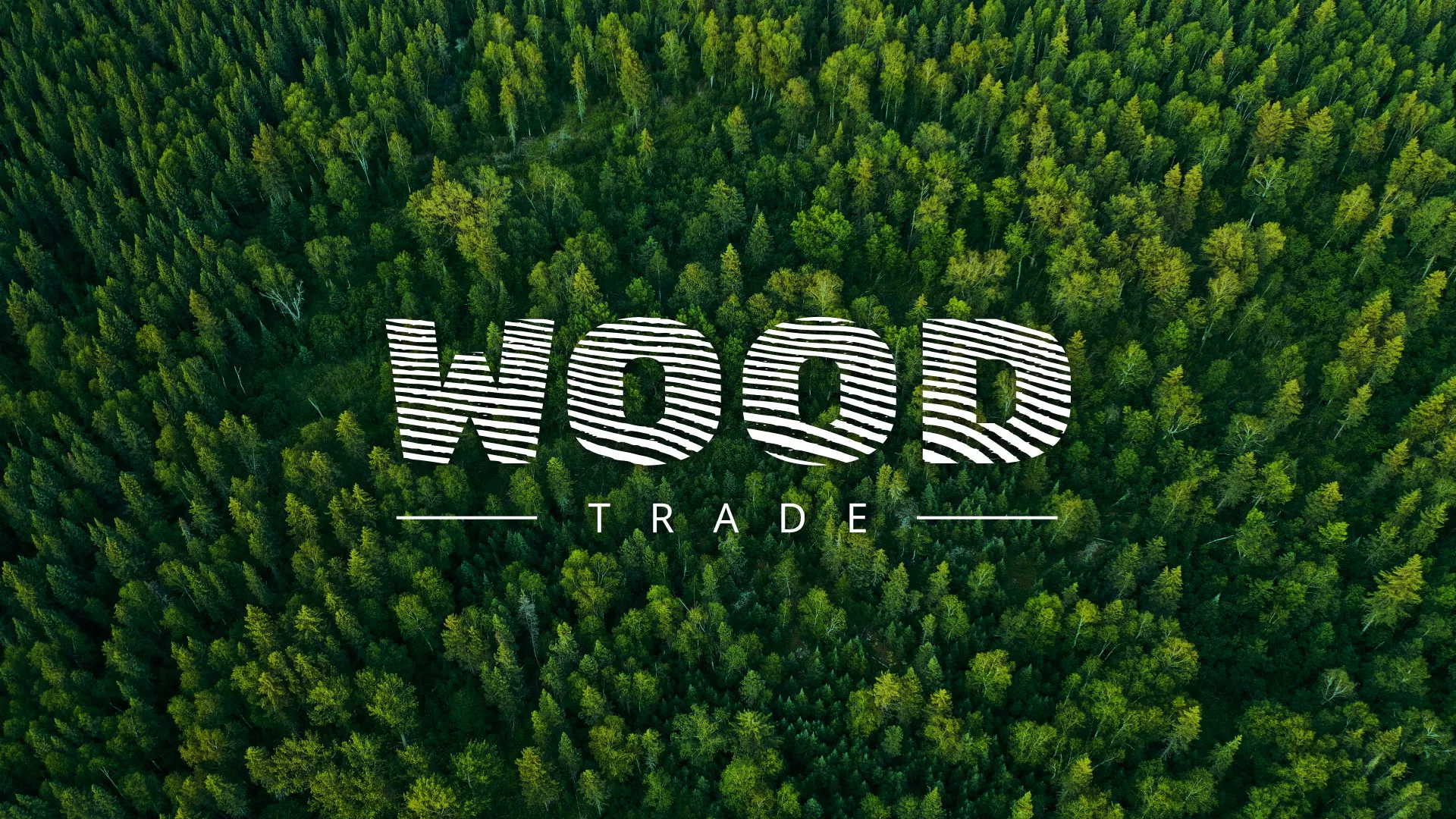 Разработка интернет-магазина компании «Wood Trade» в Бирюче