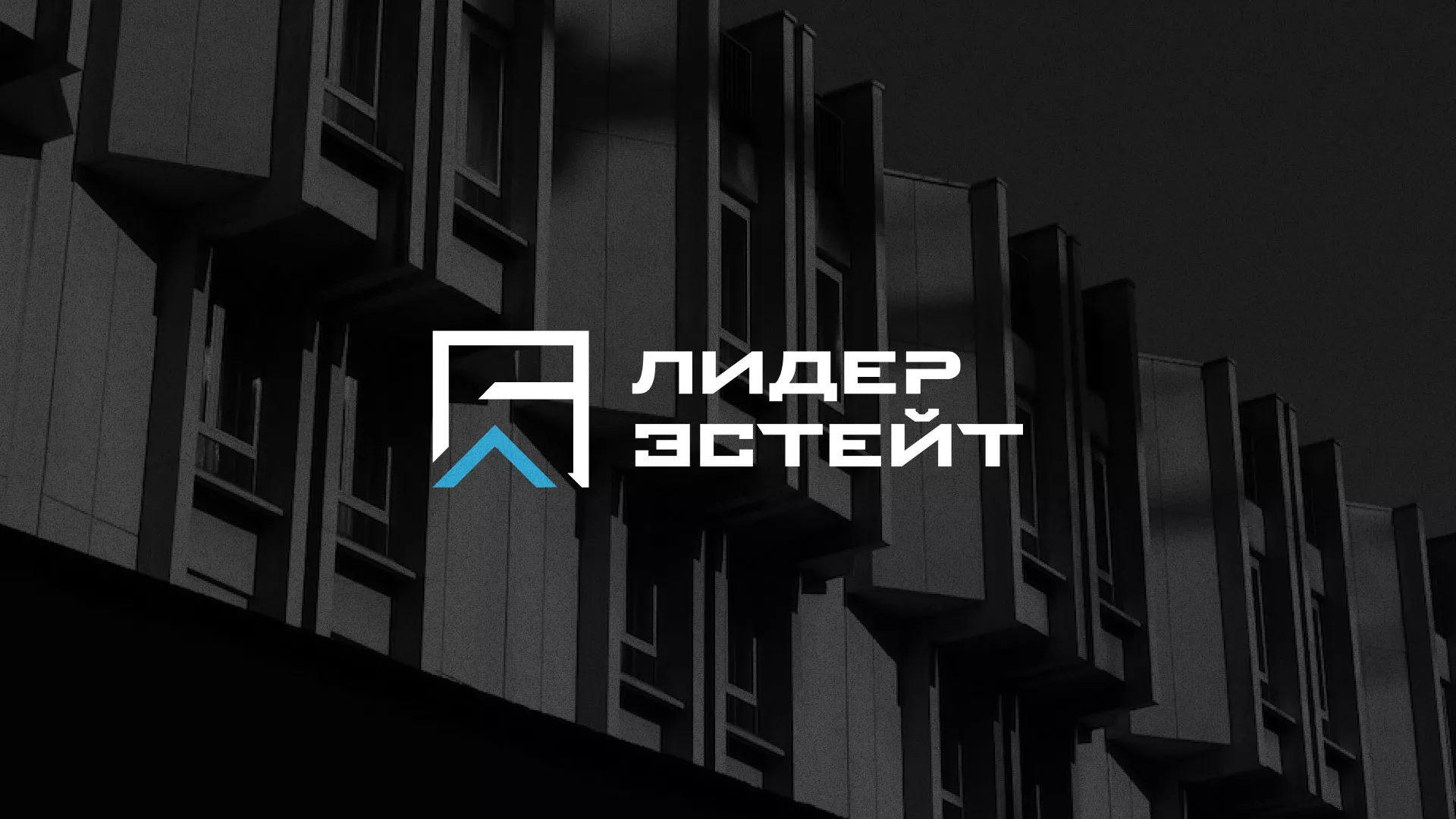 Разработка логотипа агентства недвижимости «Лидер Эстейт» в Бирюче